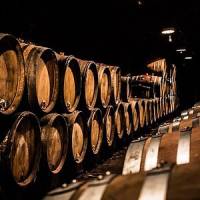 Visite de la cave de Dominique Gauthier